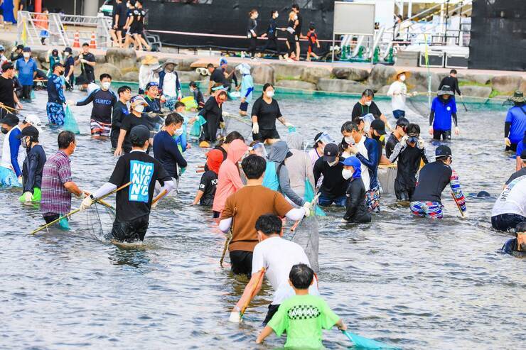 제15회 정남진 물축제 황금물고기를 잡아라 사진입니다.