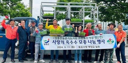 한국농촌지도자 장흥군 장흥읍회, 옥수수 모종 나눔 실천