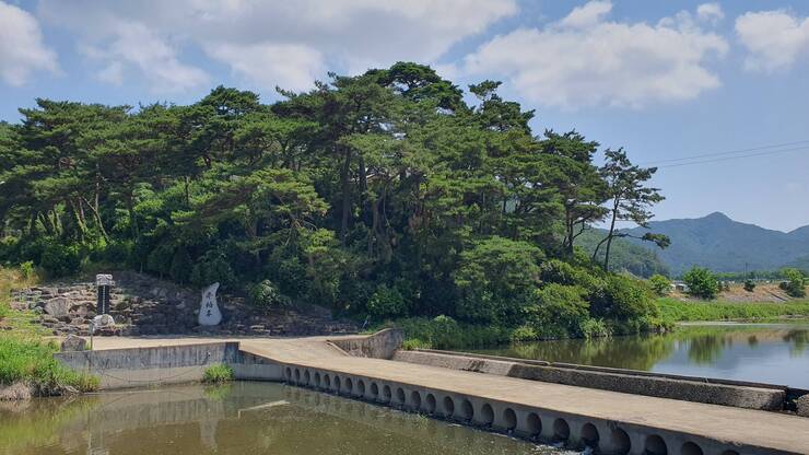 부산천