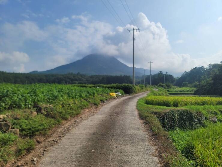 진입로