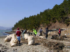 바다살리기 해안쓰레기 수거 자발적 참여
