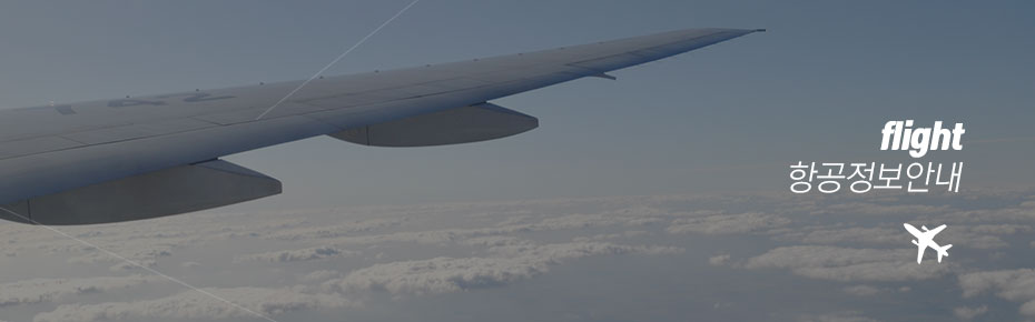 하늘에 비행기 날개 이미지 위에 flight 항공정보안내 글씨가 있음