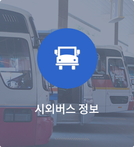 시외버스 정보