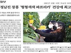 정남진 장흥 '형형색색 파프리카' 건강에 최고