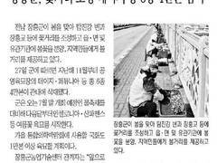장흥군, 꽃거리 조성 데이지 등 6종 4만본 심어