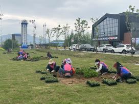 한국생활개선장흥군연합회 탄소중립실천 꽃동산 조성