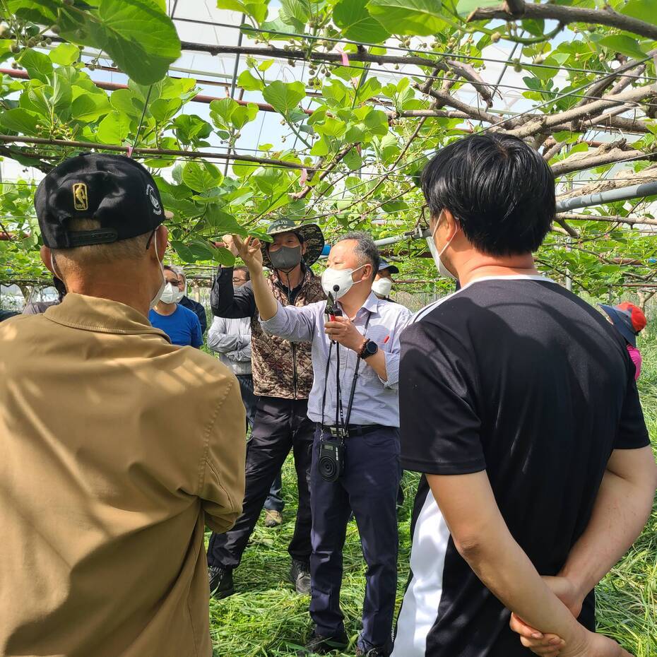 농업아카데미(참다래전문가과정) 현장교육