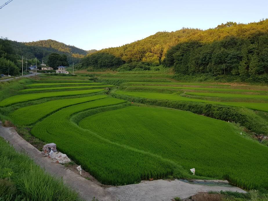 보존해야할 진산 마을1