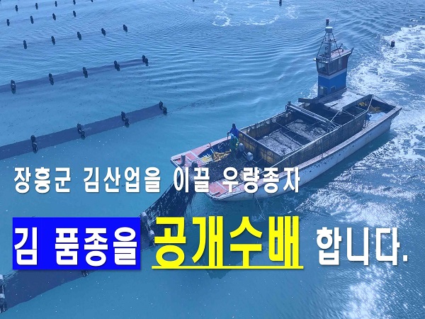 우량 김 품종 발굴